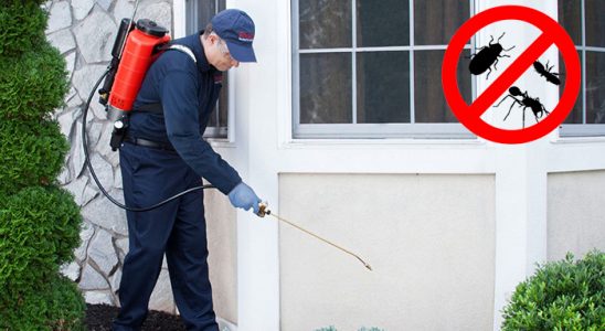 Çaykara Karınca İlaçlama böcek ilaçlama ve haşere kontrolü — ilaclama-tr.com